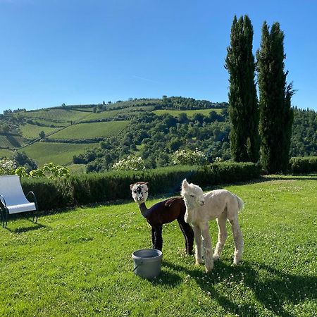 Villa Rignana Chianti Estate, Pool, Tennis,Cook Греве ин Кианти Екстериор снимка